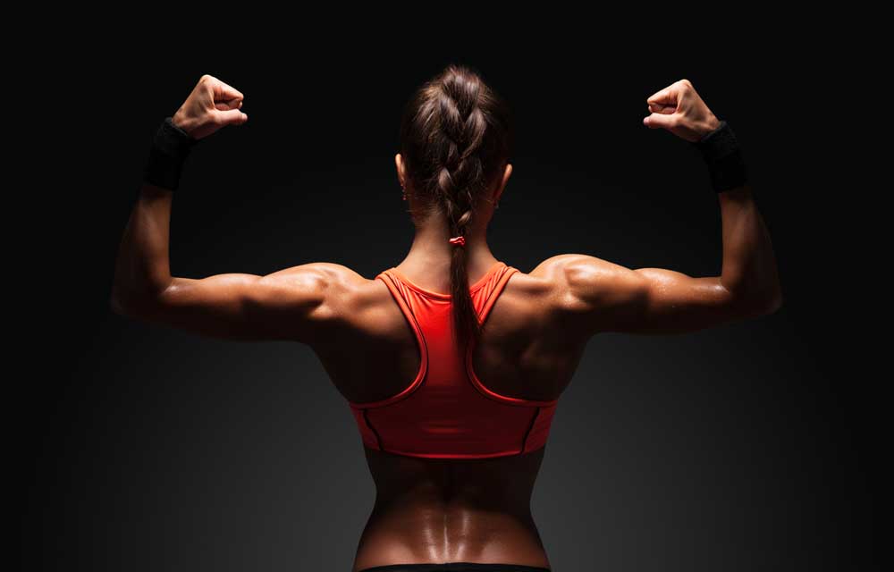 Muscle Basics Broken Down