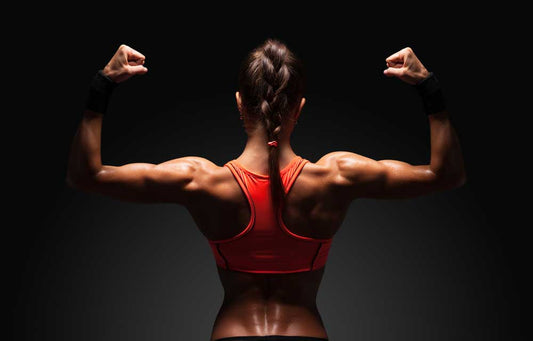 Muscle Basics Broken Down