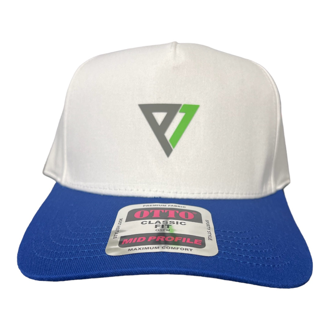 Collegiate Vintage Cap