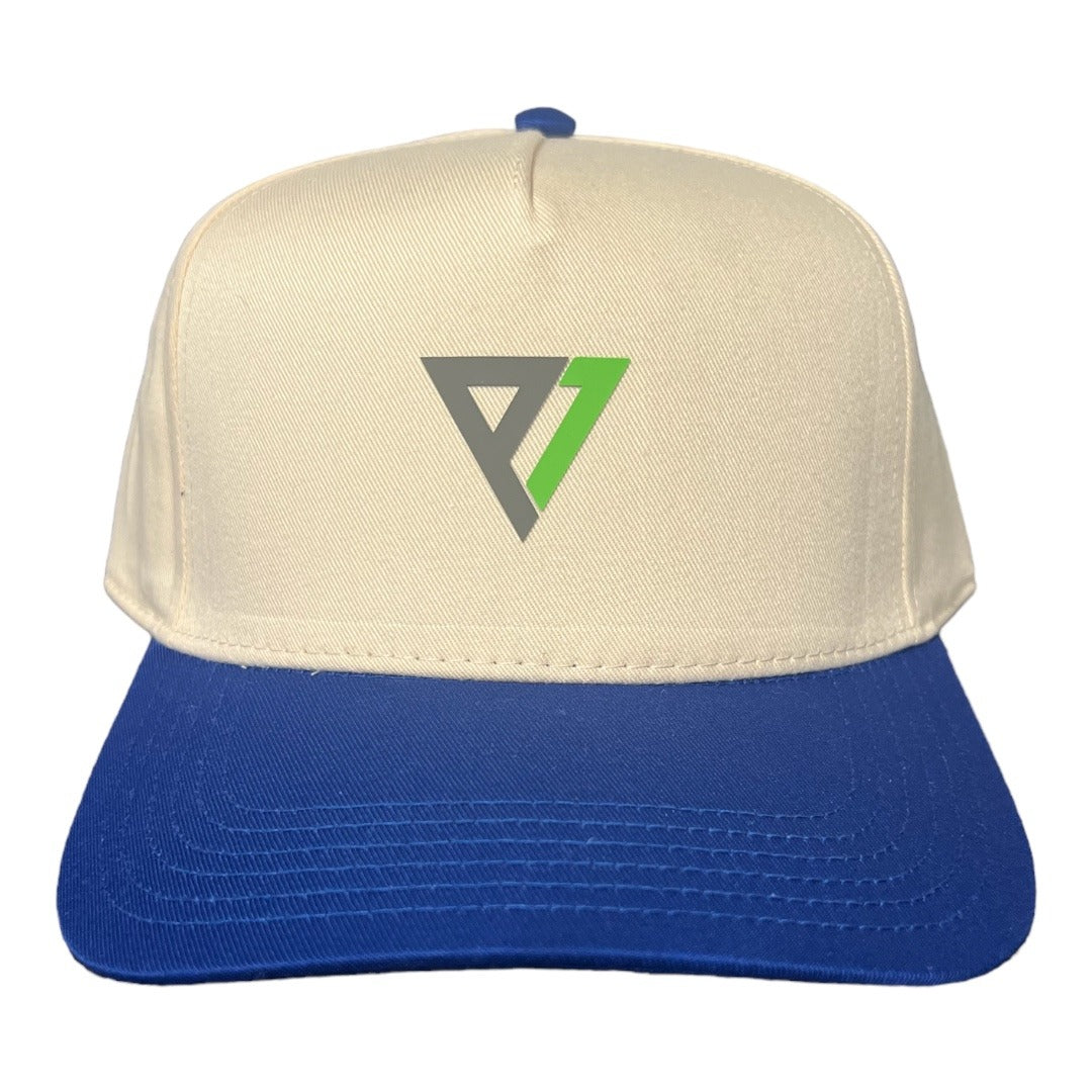 Collegiate Vintage Cap