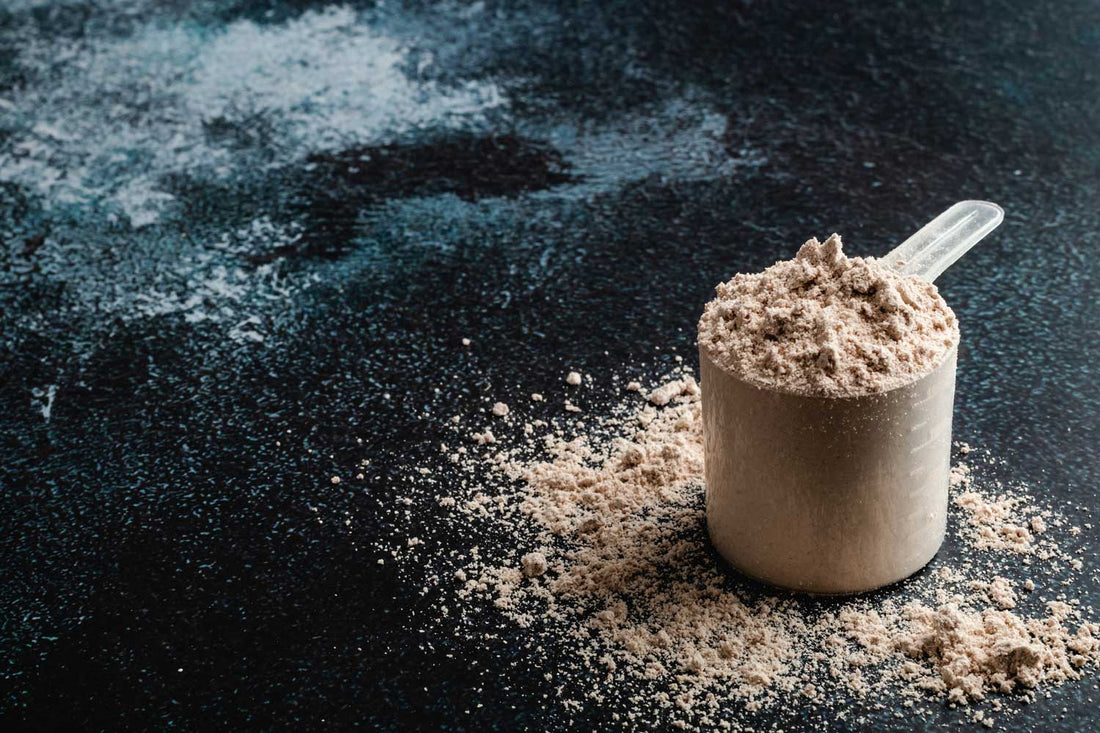 Proving Your Protein: The Difference Between the Powders